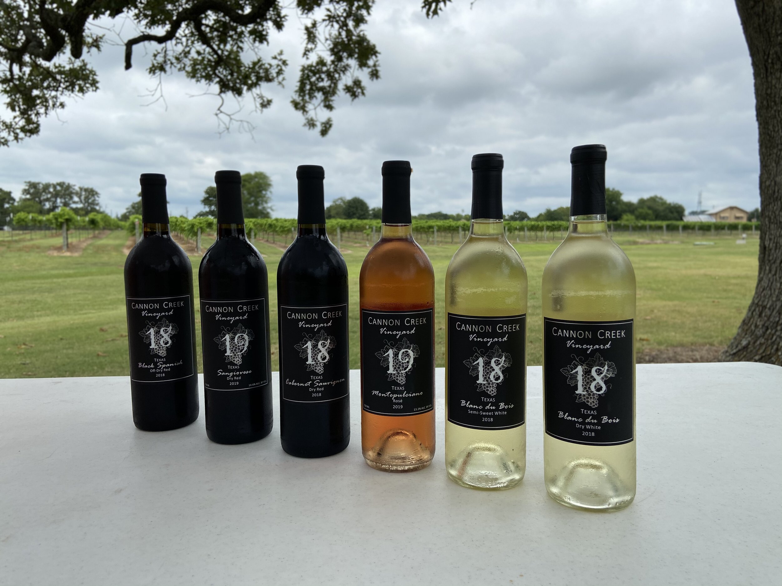 Wine+Bottles